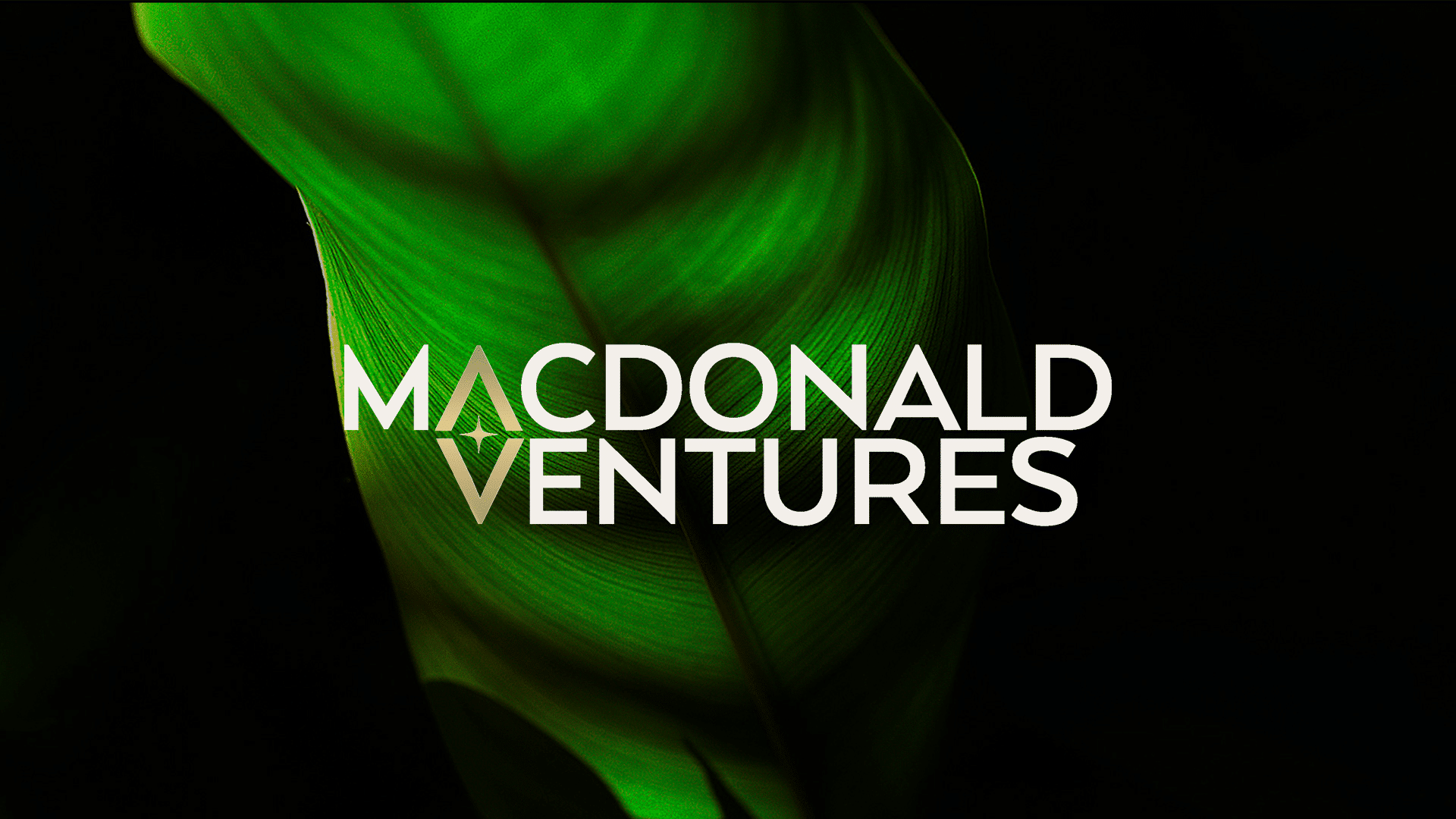 (c) Macdonald.ventures